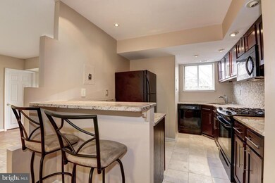 3708 N Rosser St unit T3, Alexandria, VA 22311 - photo 6