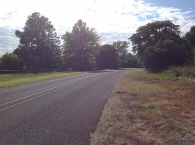 13015 County Road 285, Tyler, TX 75707 - photo 4