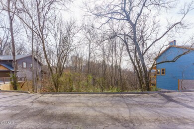 0 Maggie MacK Ln unit 304403, Sevierville, TN 37862 - photo 2