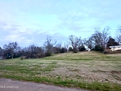 0 4th Ave SW, Magee, MS 39111 - photo 6