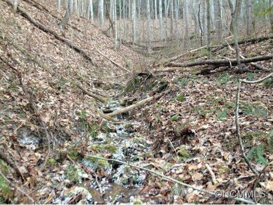 Looking up creek