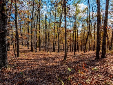 0 River Rd unit 21958353, Hardy, AR 72542 - photo 2