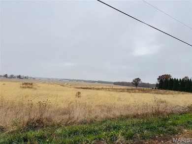 LAKEWOOD DR, Lake Wood Dr, Vandalia, IL 62471 - photo 3