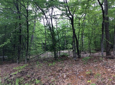 146 S Bridgton Rd, Bridgton, ME 04009 - photo 6