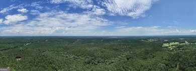 0 Lexington Hwy unit 10565392, Elberton, GA 30635 - photo 6