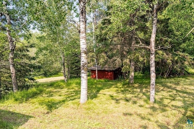 View of yard and shed