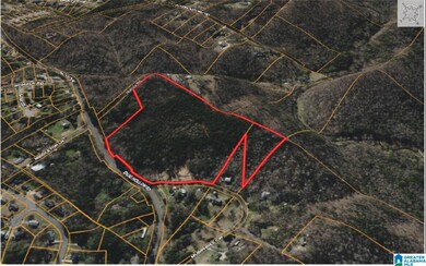 5317 Dug Hollow Rd, Pinson, AL 35126 - photo 4