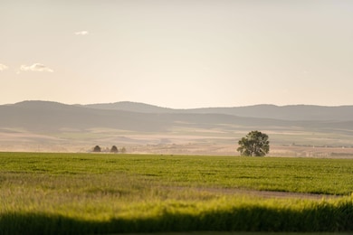 0 Penwell Bridge Rd, Belgrade, MT 59714 - photo 6