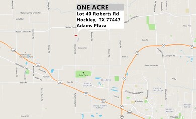 Lot 40 Roberts Rd, Hockley, TX 77447 - photo 3