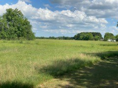 9607 Needville Fairchilds Rd, Needville, TX 77461 - photo 5