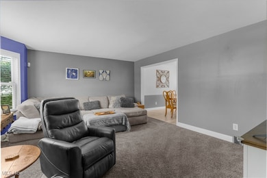 3481 Forty Second St, Canfield, OH 44406 - photo 4