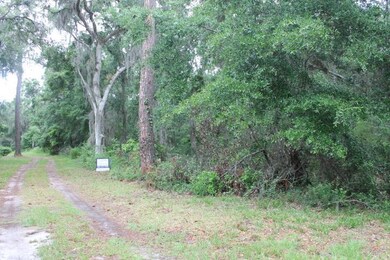 139 Burns Landing, St. Simons Island, GA 31522 - photo 5