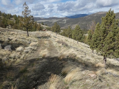 16220 Lost Coyote Ln, Mitchell, OR 97750 - photo 5