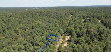 512 Twilight Dr, Horseshoe Bend, AR 72512 - photo 4