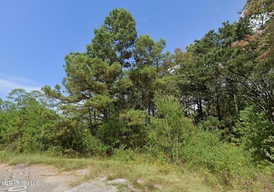 0 Sand Pine Cove unit 4103524, Gautier, MS 39553 - photo 3