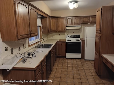 1007 N Foster Ave, Lansing, MI 48912 - photo 3