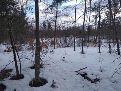 Lot 89 Grandview Rd unit 89, Conway, NH 03818 - photo 5