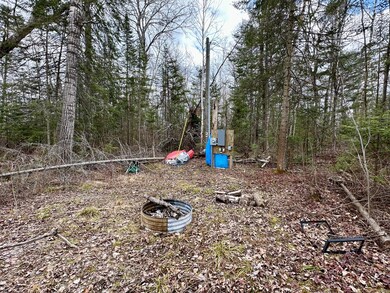 IMG_4567
