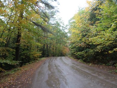 0 Flag Hole Rd, Franklin, NH 03235 - photo 3