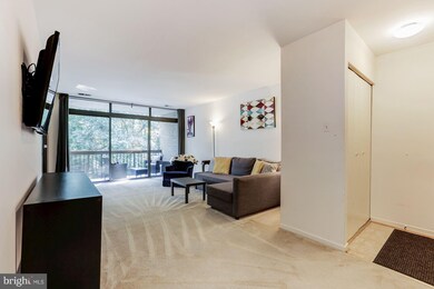 1629 Parkcrest Cir unit 200, Reston, VA 20190 - photo 6