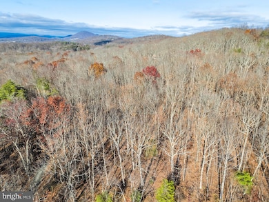 Lots 3 and 4 Ernest Robinson Rd, Marshall, VA 20115 - photo 2