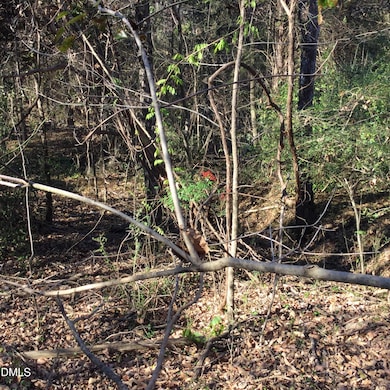 000 Gant Rd, Graham, NC 27253 - photo 4