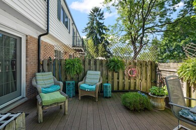 16-web-or-mls-DSC07702