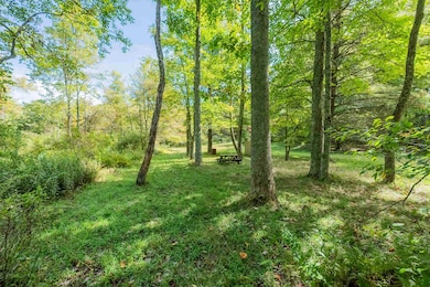 1746 Busted Rock Rd, Meadows of Dan, VA 24120 - photo 4