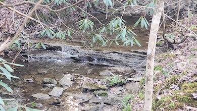 407 Ramsey Rd, Winfield, TN 37892 - photo 5