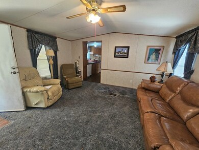 232 Old Bainbridge Rd, Baconton, GA 31716 - photo 6