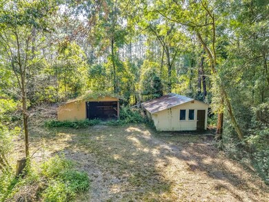 59 Andrew Ln, Crawfordville, FL 32327 - photo 5