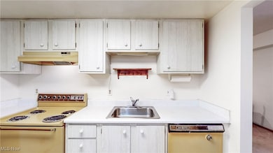 Tudor House Condo unit 121, North Olmsted, OH 44070 - photo 6