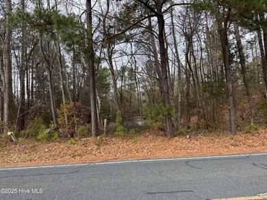 0 Boyd Lake Rd, Hamlet, NC 28345 - photo 6
