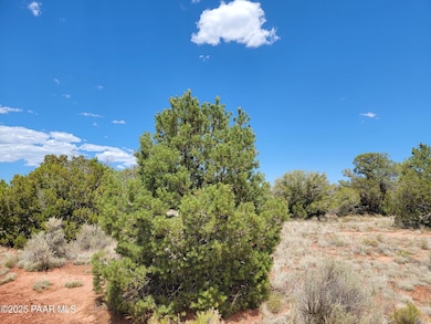 663 S Lodestar Dr, Valle, AZ 86046 - photo 5