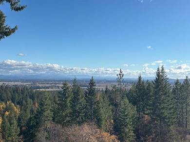 4746 Furze Rd, Clayton, WA 99110 - photo 3