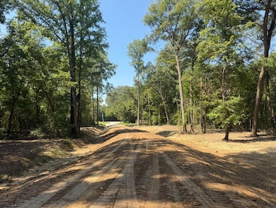 25 Bell Grove Rd, Oakland, TN 38028 - photo 4