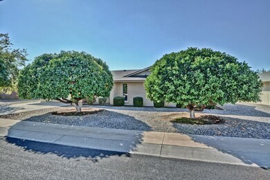 17620 N Hitching Post Dr, Sun City, AZ 85373 - photo 7