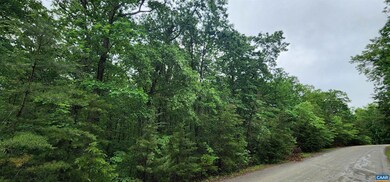 0 Doctors Rd unit 631009, Louisa, VA 23093 - photo 5