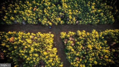 TBD Iris Rd, Mascot, VA 23108 - photo 4