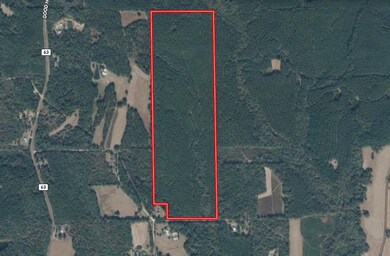 18121 Jordan Grove Road Exd, Dozier, AL 36028 - photo 6