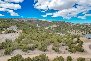 Mountain view with a forest view