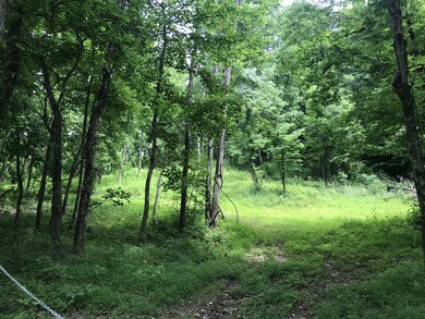 1299 Black Rd, Prospect, TN 38477 - photo 5