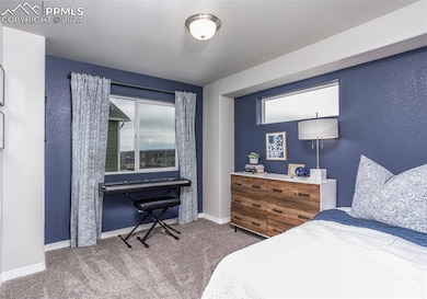 Photos of previously built model. Some options may