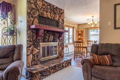 Fireplace and Living Room 3