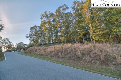 Lot 5 Reynolds Pkwy, Boone, NC 28607 - photo 4