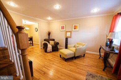 3810 Rokeby Rd, Baltimore, MD 21229 - photo 5