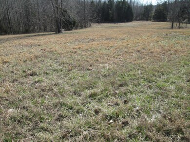 2068 Woodwind Cir, Greenbrier, TN 37073 - photo 3