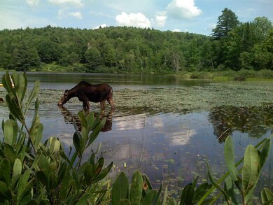 00 Hidden Acres Dr unit 30.1 & 30.2, Sugar Hill, NH 03586 - photo 7