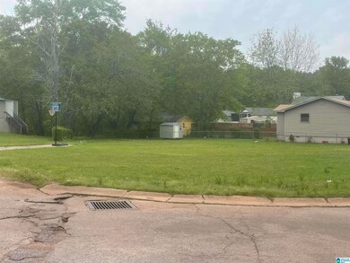 3002 Holbrook Ave, Bessemer, AL 35020 - photo 4