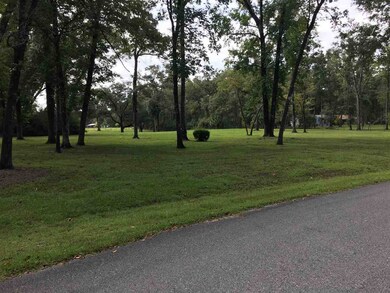 000 Emerald Acres Dr, Crawfordville, FL 32327 - photo 3